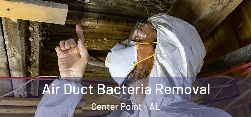 Air Duct Bacteria Removal Center Point - AL