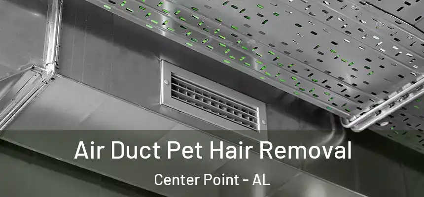  Air Duct Pet Hair Removal Center Point - AL
