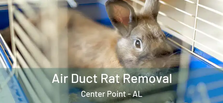  Air Duct Rat Removal Center Point - AL