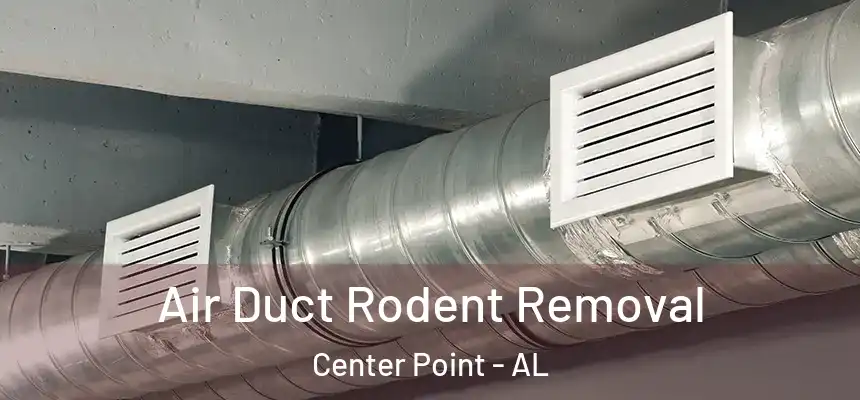  Air Duct Rodent Removal Center Point - AL