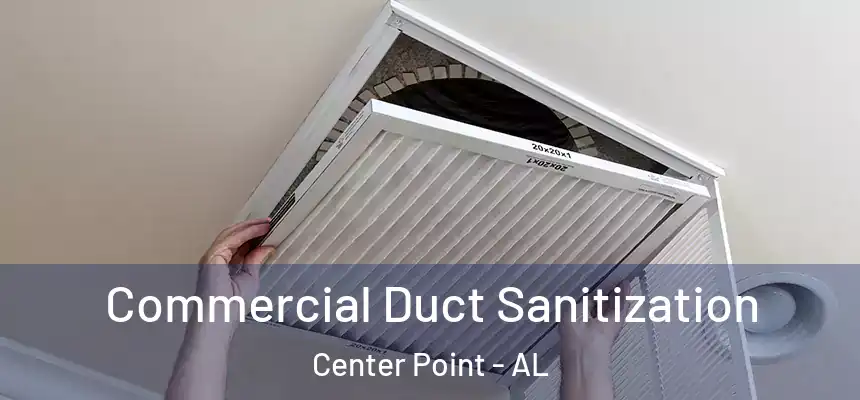  Commercial Duct Sanitization Center Point - AL