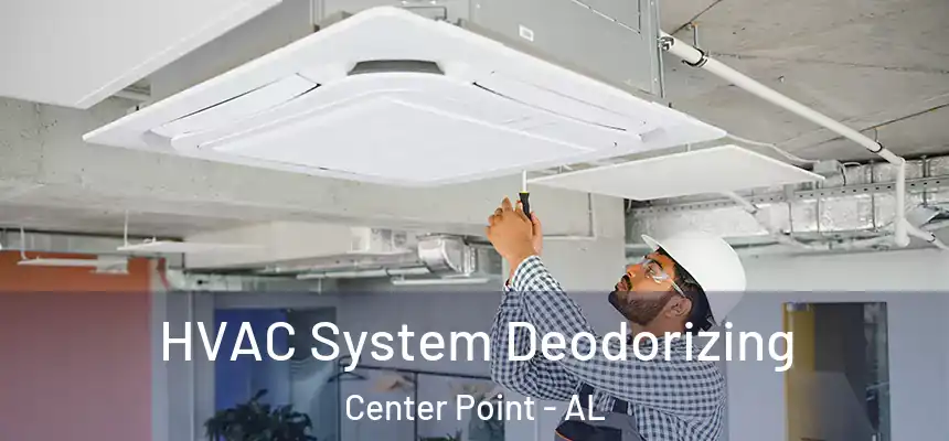  HVAC System Deodorizing Center Point - AL