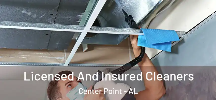  Licensed And Insured Cleaners Center Point - AL