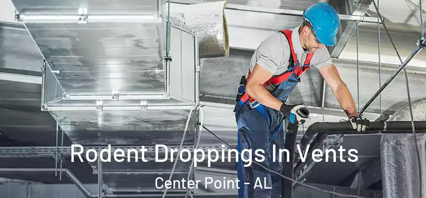  Rodent Droppings In Vents Center Point - AL