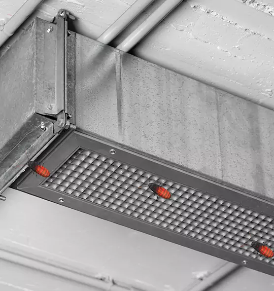 About Air Duct Cockroach Removal in Center Point, AL