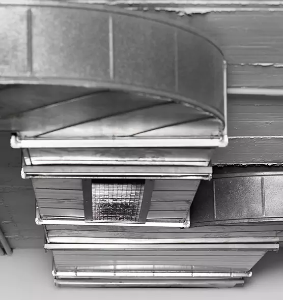 Professional Air Duct Pet Hair Removal in Center Point, AL