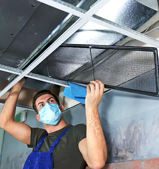 Professional Air Duct Pollen Cleaning in Center Point, AL